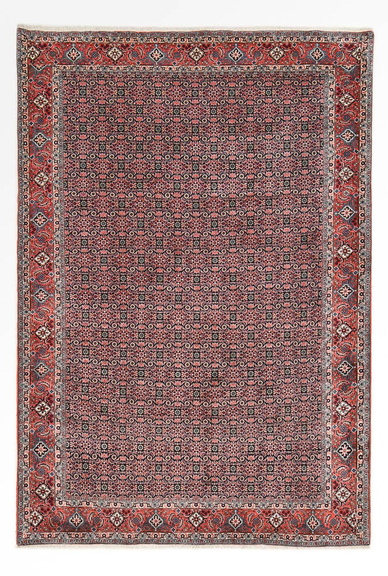 Bidjar Tapete 301x203cm - Tapete persa