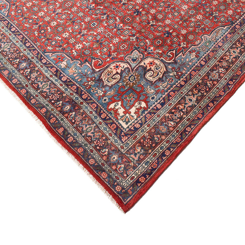 Bidjar Tapete 300x221cm - Tapete persa
