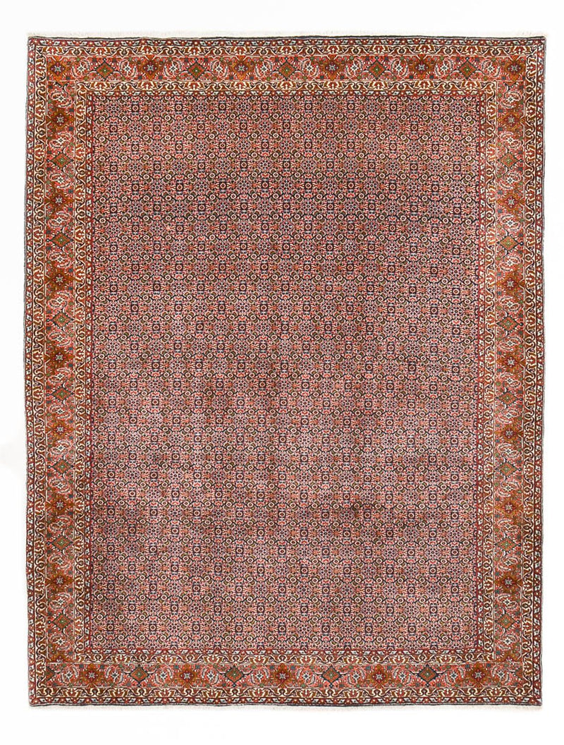 Bidjar Tapete 342x263cm - Tapete persa