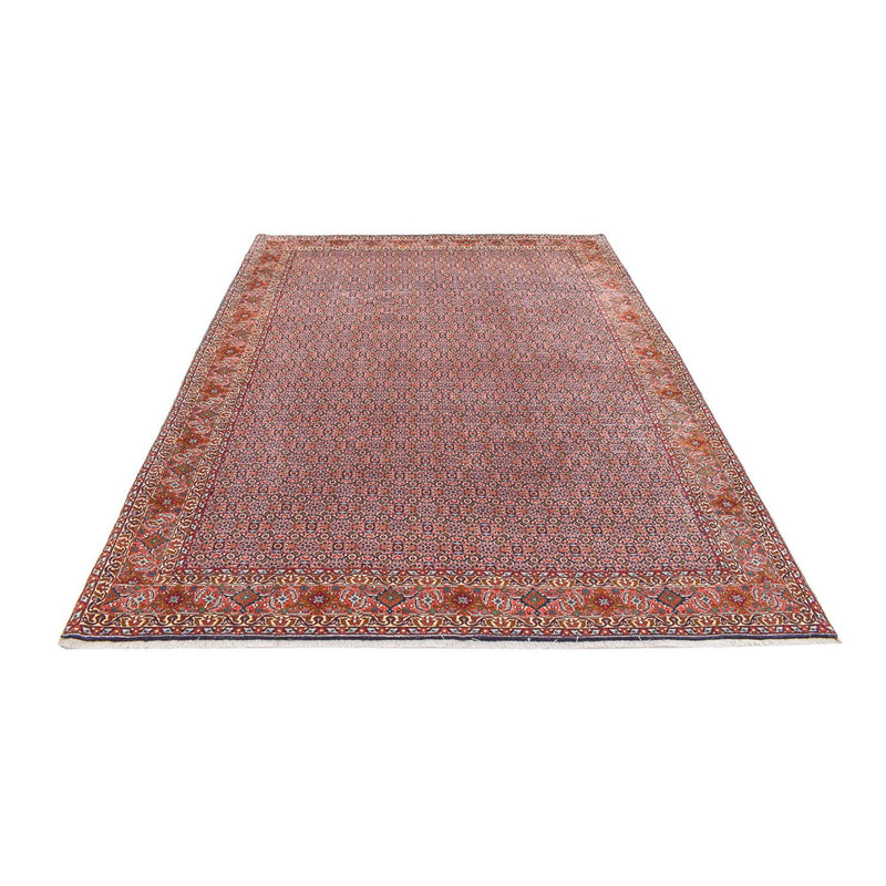 Bidjar Tapete 342x263cm - Tapete persa
