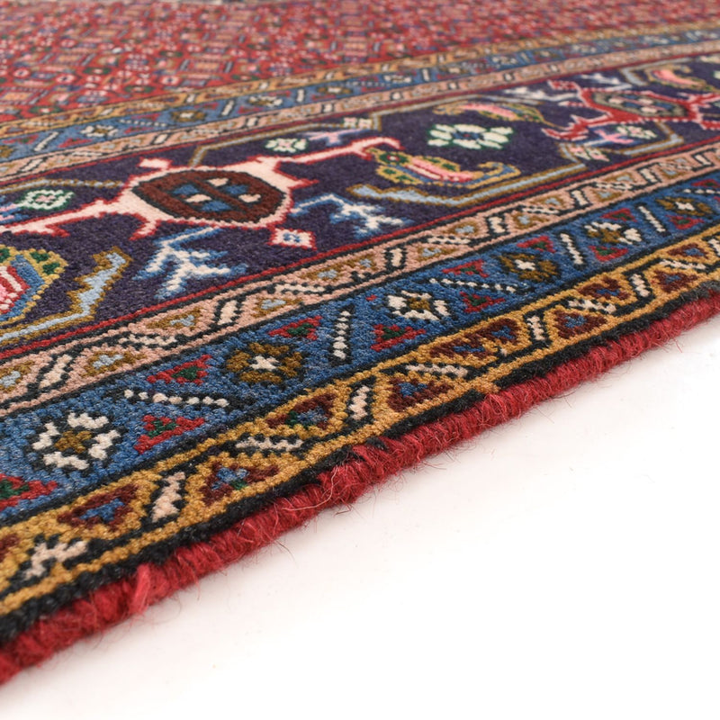 Ardabil Tapete 288x191cm - Tapete persa