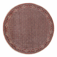 Bidjar Tapete 300x300cm - Tapete persa – product image