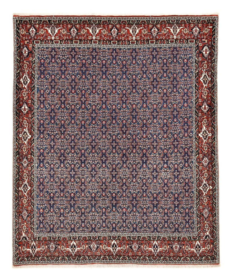 Bidjar Tapete 246x201cm - Tapete persa