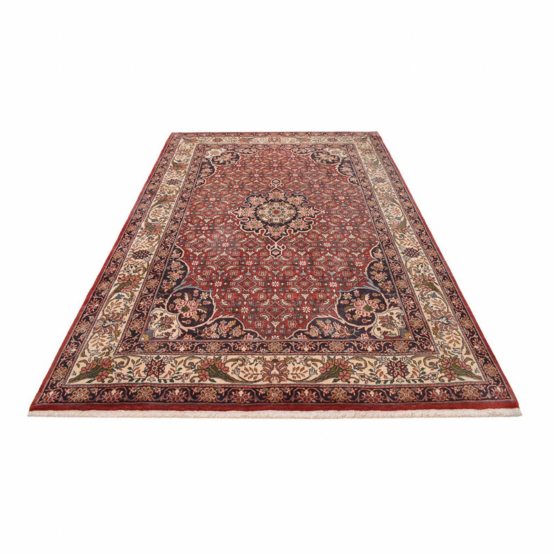 Bidjar Tapete 300x204cm - Tapete persa