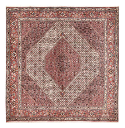 Bidjar Tapete 300x307cm - Tapete persa