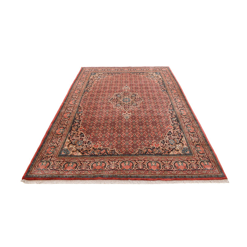 Bidjar Tapete 332x216cm - Tapete persa
