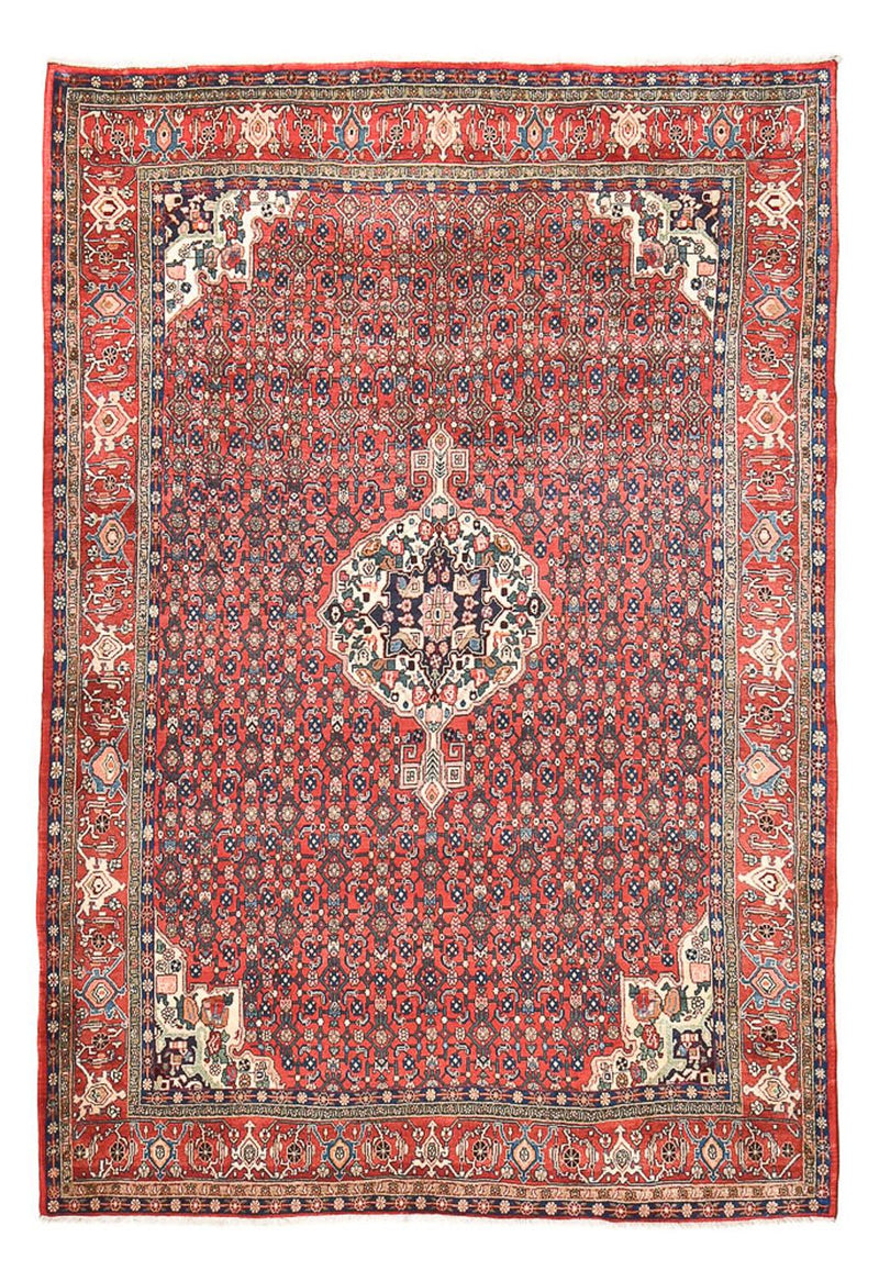 Bidjar Tapete 286x201cm - Tapete persa