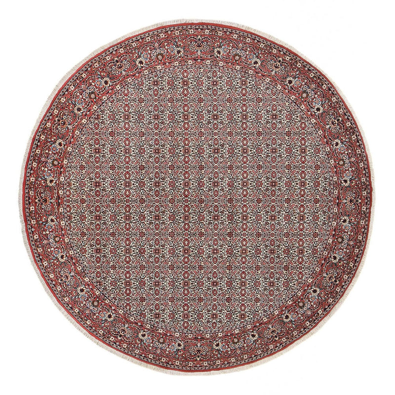 Bidjar Tapete 305x305cm - Tapete persa