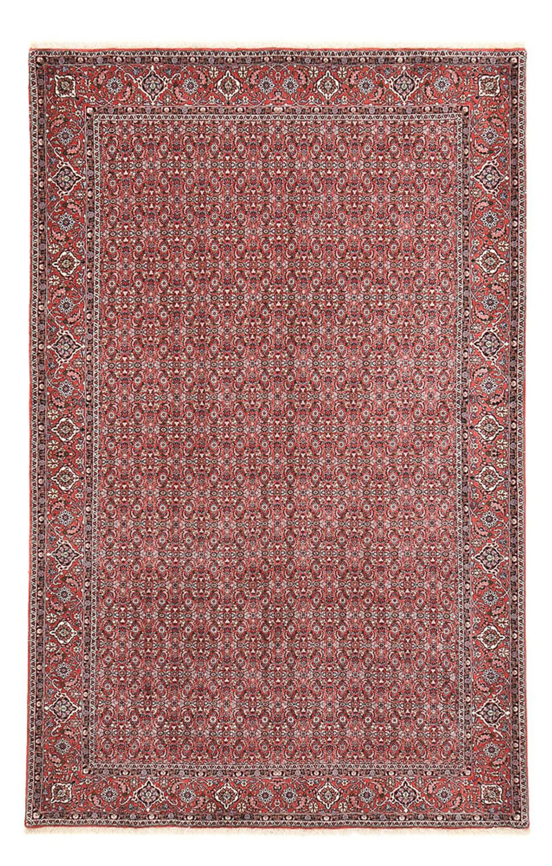 Bidjar Tapete 221x347cm - Tapete persa