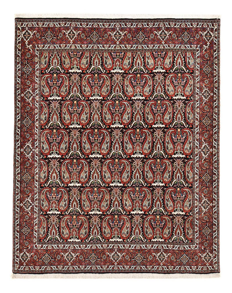 Tapete Persa - Bijar - 248 x 208 cm - ferrugem