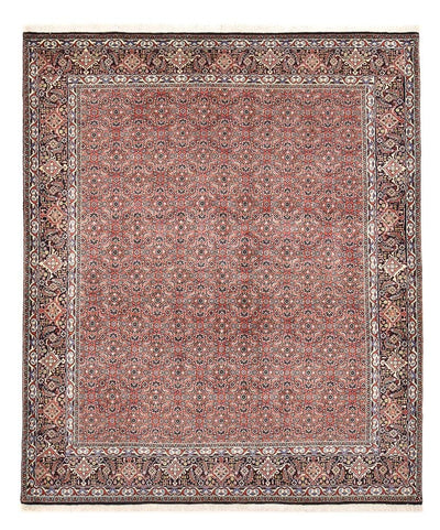 Bidjar Tapete 204x244cm - Tapete persa