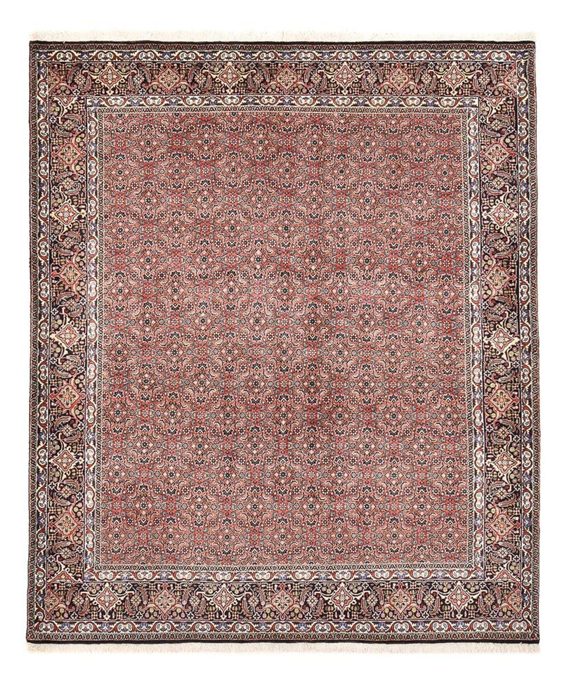 Bidjar Tapete 244x204cm - Tapete persa
