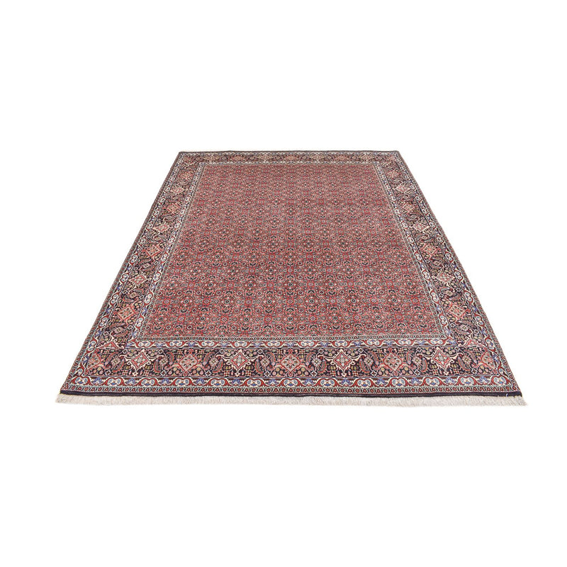 Bidjar Tapete 244x204cm - Tapete persa