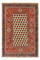 Kashkuli Tapete 260x172cm - Tapete persa