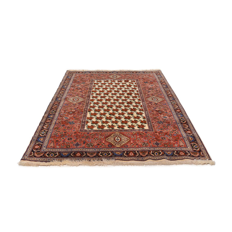 Kashkuli Tapete 260x172cm - Tapete persa