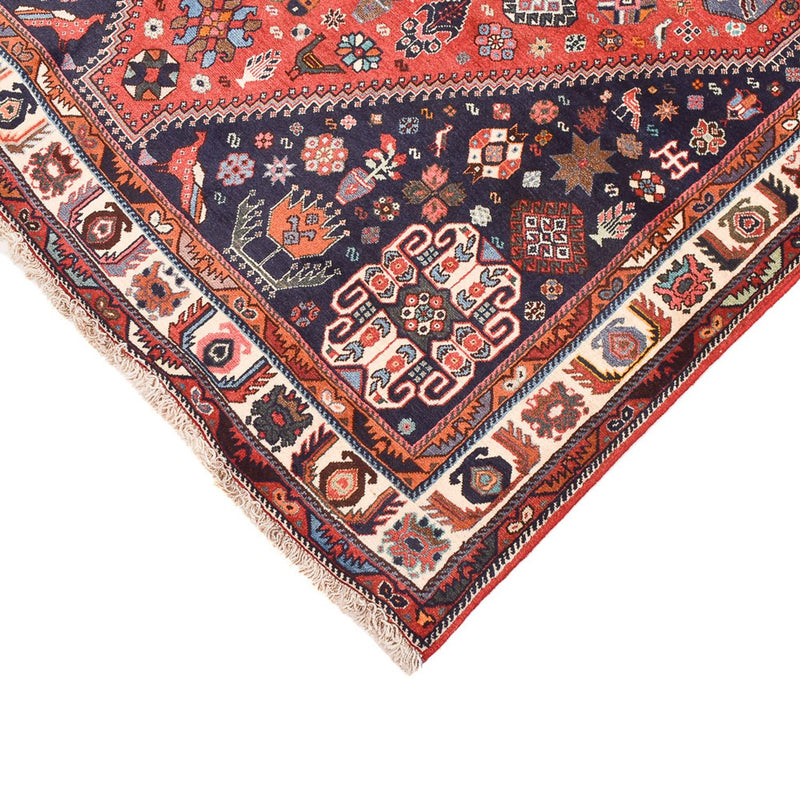 Kashkuli Tapete 255x155cm - Tapete persa