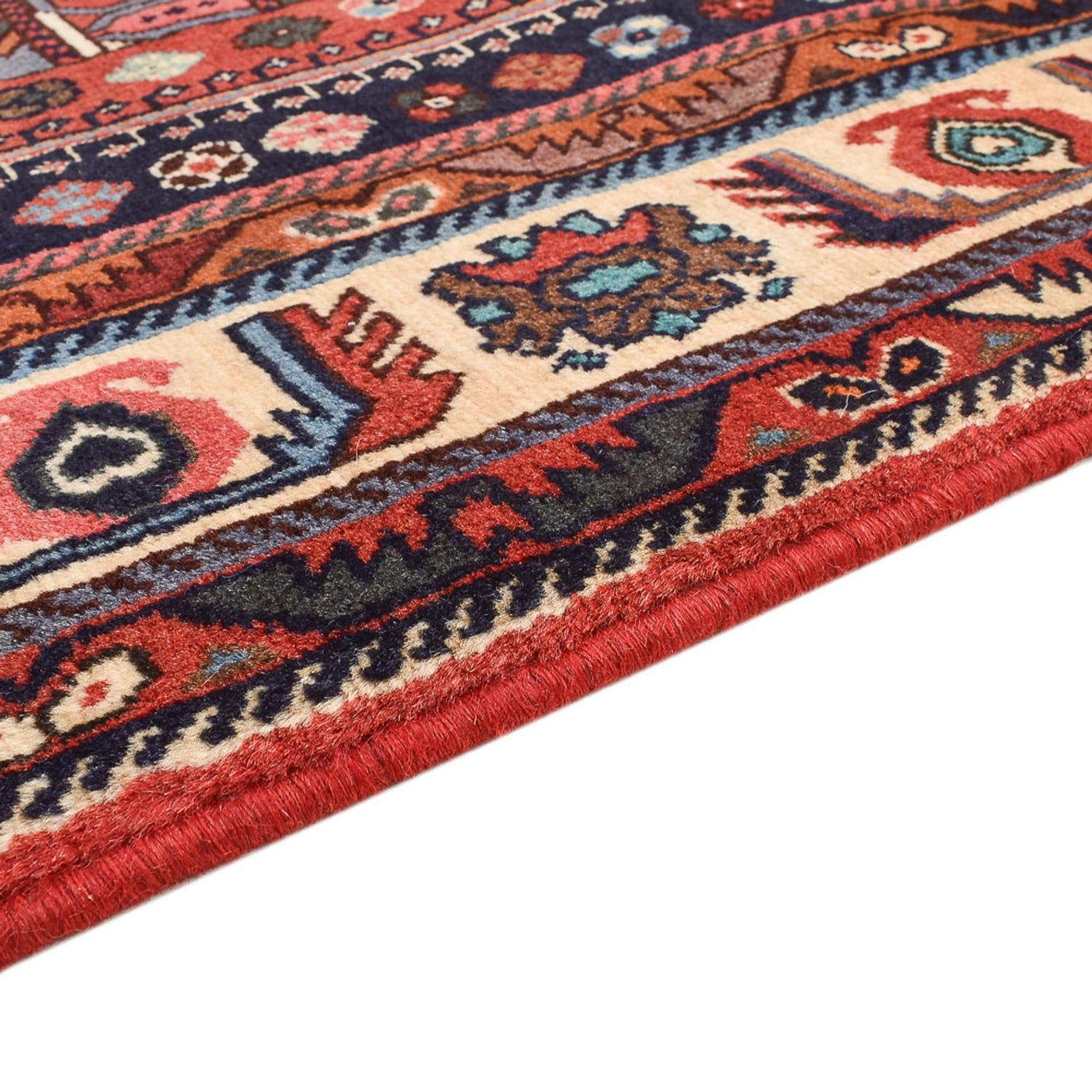 Kashkuli Tapete 255x155cm - Tapete persa