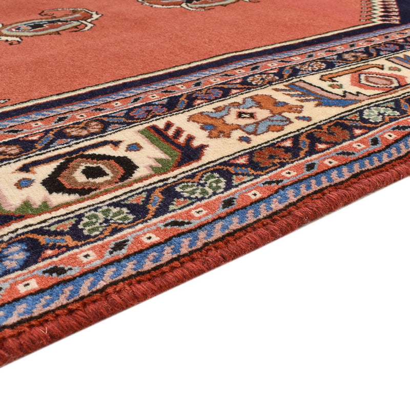 Kashkuli Tapete 168x245cm - Tapete persa