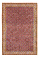 Bidjar Tapete 315x214cm - Tapete persa