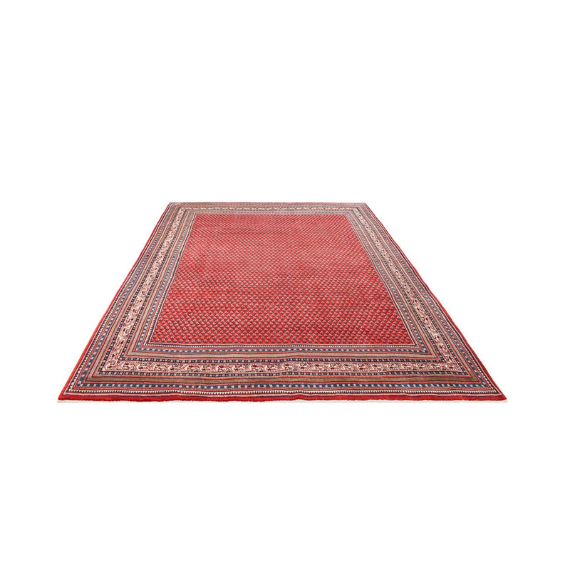 Sarouk Tapete 360x283cm - Tapete persa