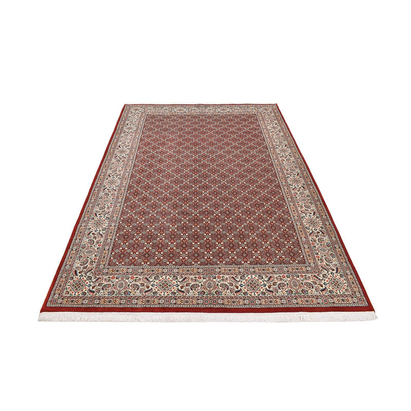 Moud Tapete 305x203cm - Tapete persa