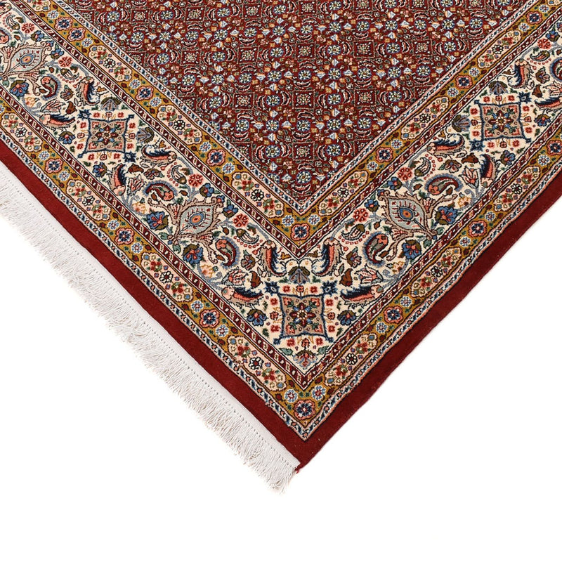Moud Tapete 295x195cm - Tapete persa