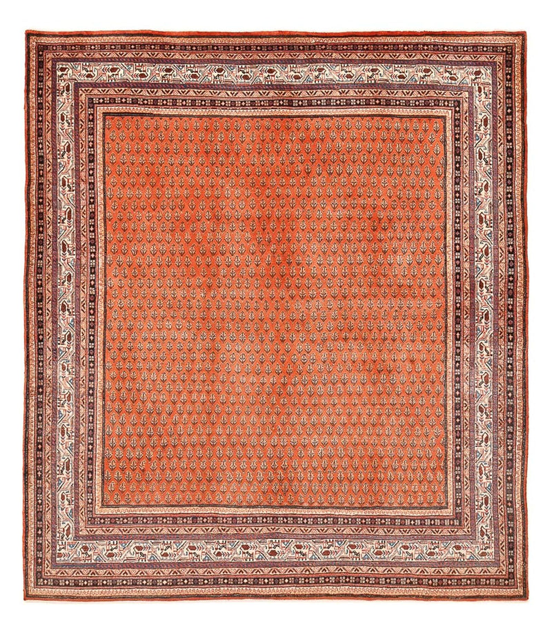 Sarouk Tapete 261x228cm - Tapete persa