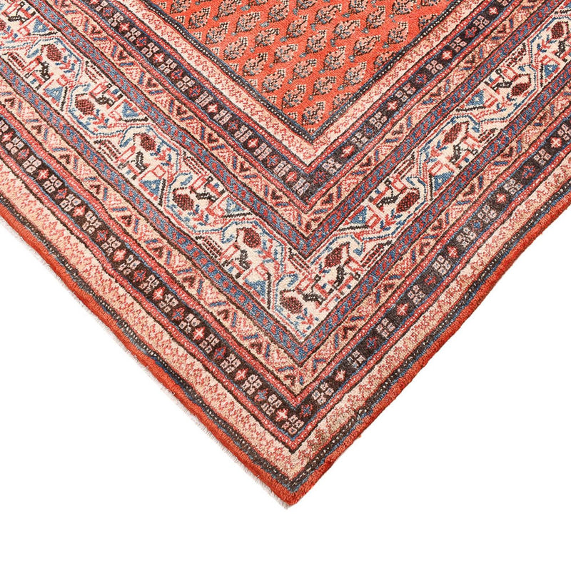 Sarouk Tapete 261x228cm - Tapete persa