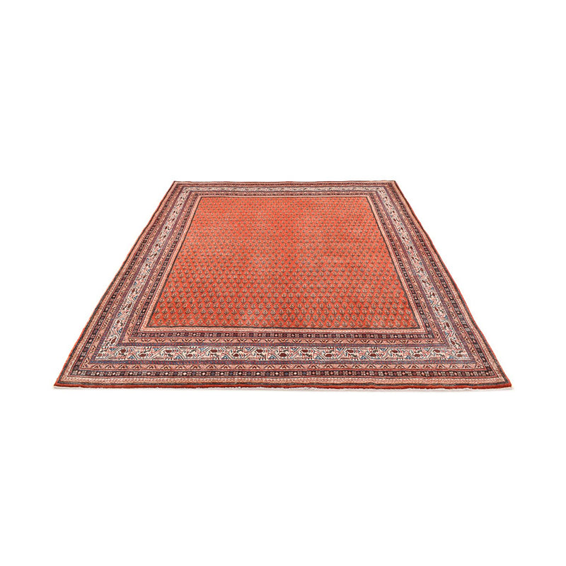 Sarouk Tapete 261x228cm - Tapete persa