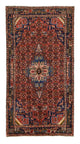 Kolyai Tapete 278x142cm - Tapete persa