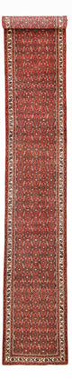 Hosseinabad Tapete 592x76cm - Tapete persa
