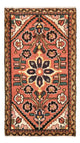 Hamadan Tapete 100x54cm - Tapete persa