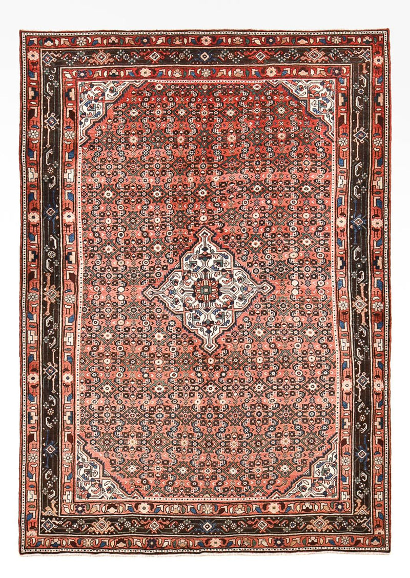 Hosseinabad Tapete 305x212cm - Tapete persa