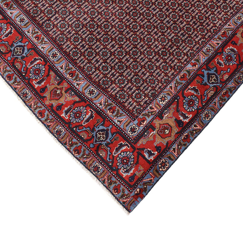 Senneh Tapete 296x196cm - Tapete persa