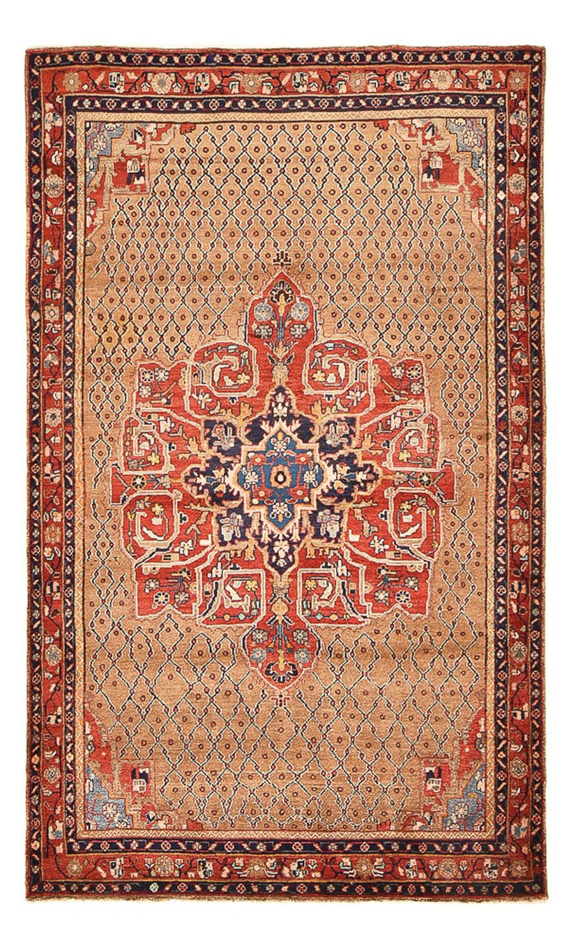Kolyai Tapete 250x150cm - Tapete persa