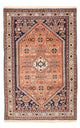 Kashkuli Tapete 100x152cm - Tapete persa
