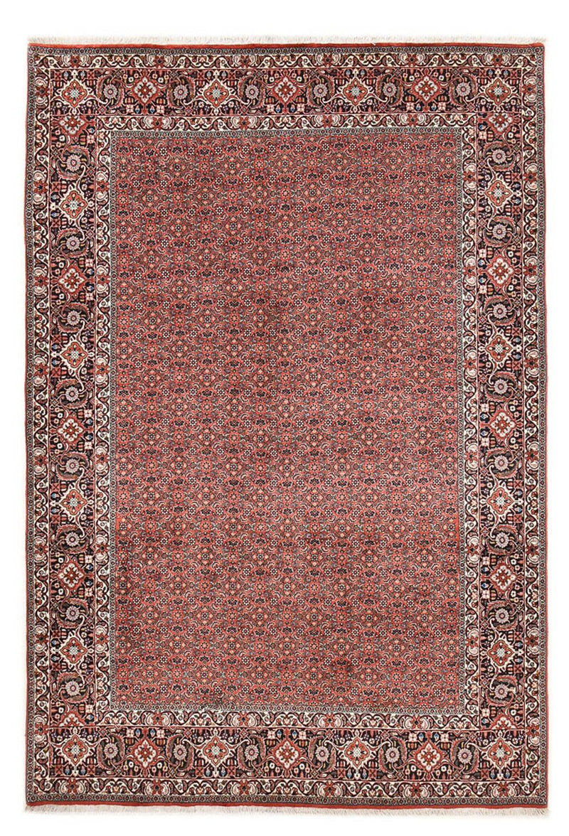 Bidjar Tapete 300x203cm - Tapete persa