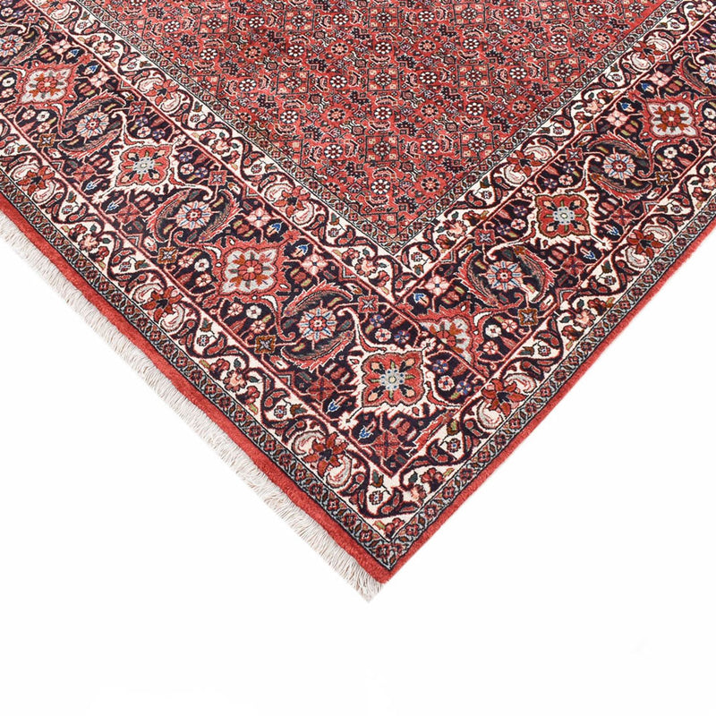 Bidjar Tapete 300x203cm - Tapete persa