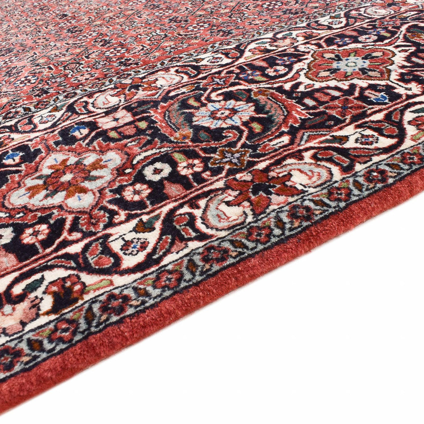 Bidjar Tapete 300x203cm - Tapete persa