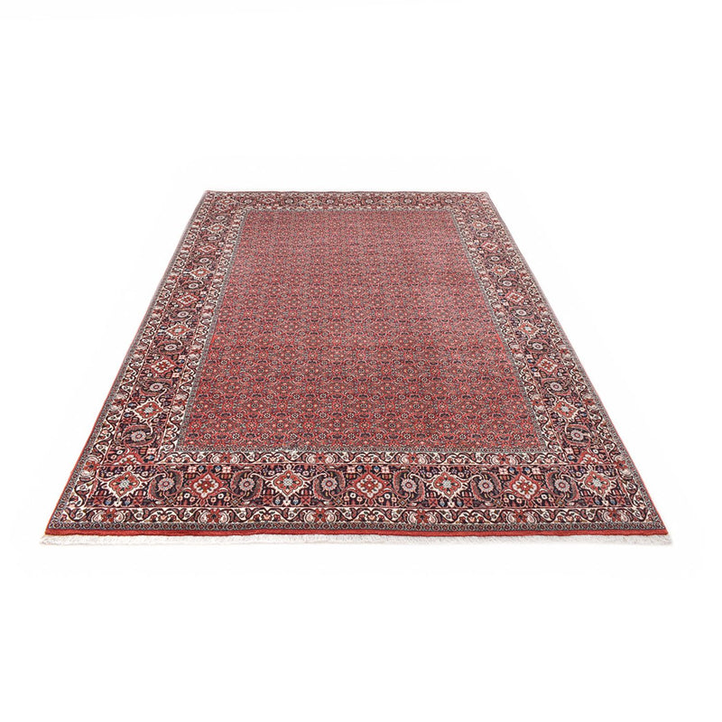 Bidjar Tapete 300x203cm - Tapete persa