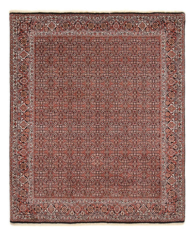 Bidjar Tapete 207x255cm - Tapete persa - vermelho escuro