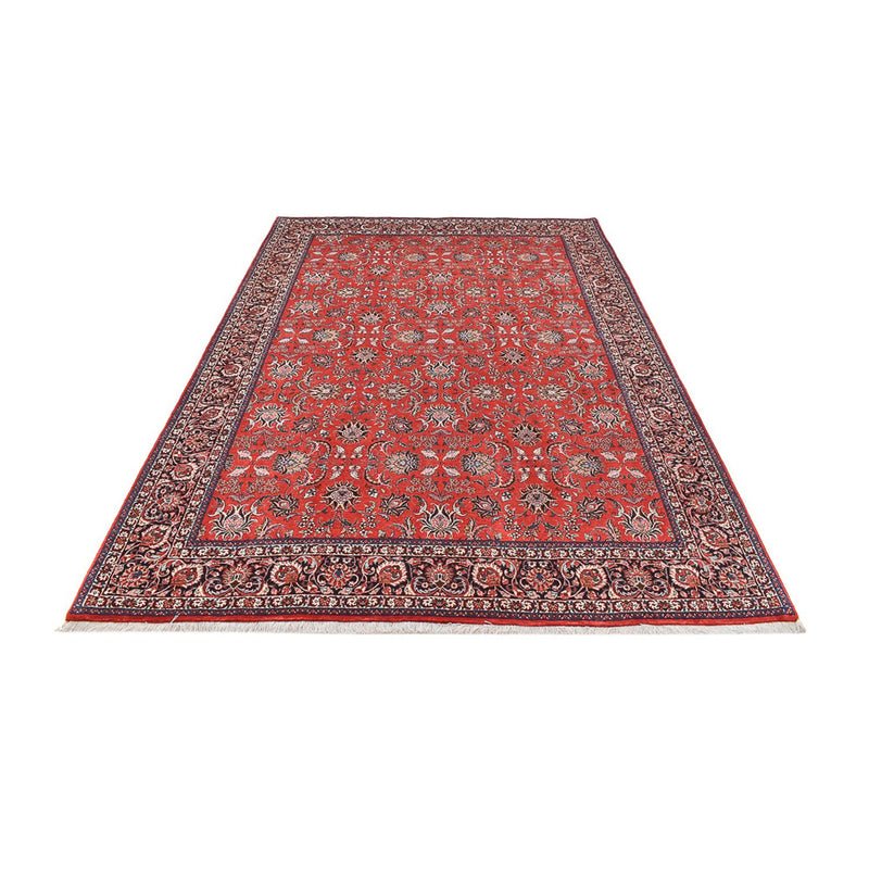 Bidjar Tapete 297x204cm - Tapete persa