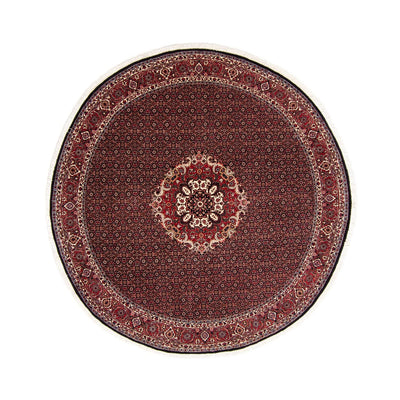Bidjar Tapete 250x250cm - Tapete persa