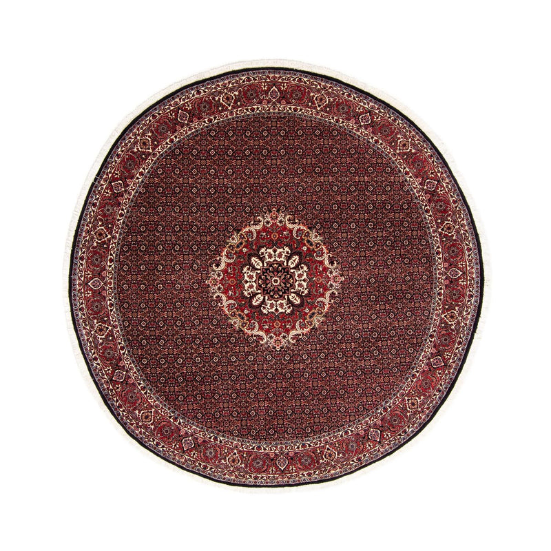 Bidjar Tapete 250x250cm - Tapete persa