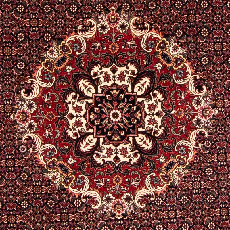 Bidjar Tapete 250x250cm - Tapete persa