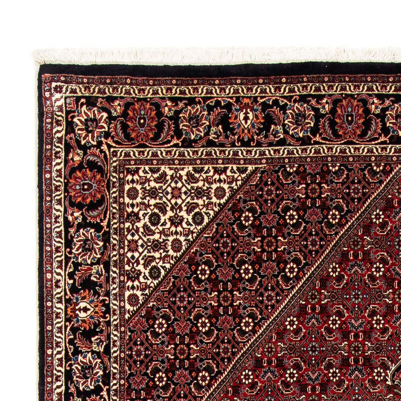 Bidjar Tapete 166x240cm - Tapete persa