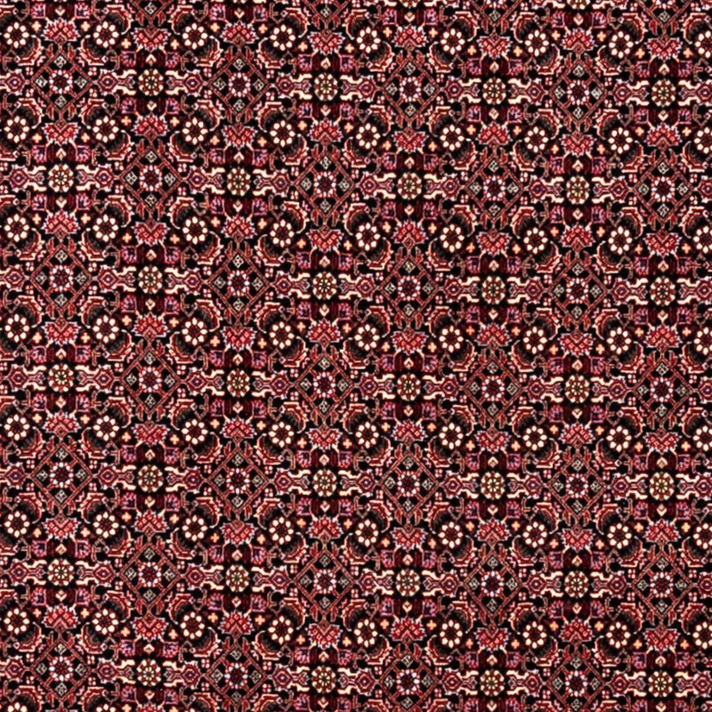 Bidjar - Takab Tapete 346x250cm - Tapete persa