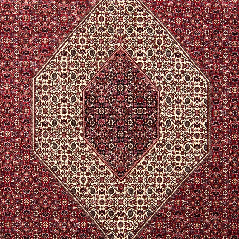 Bidjar Tapete 303x250cm - Tapete persa
