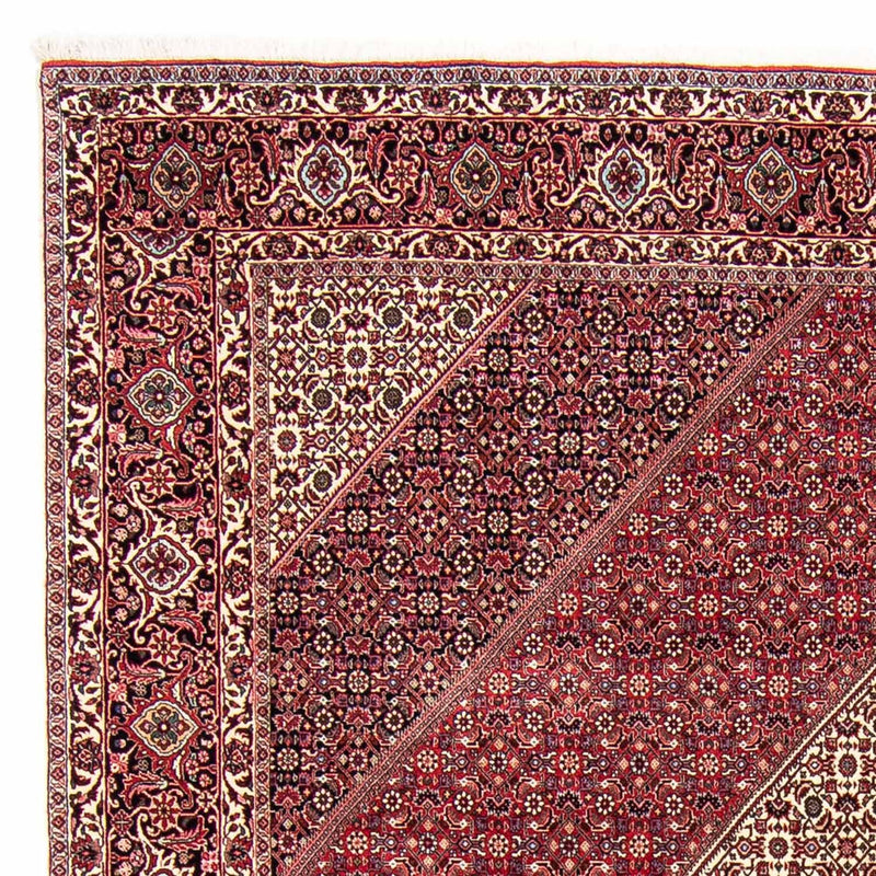 Bidjar Tapete 303x250cm - Tapete persa