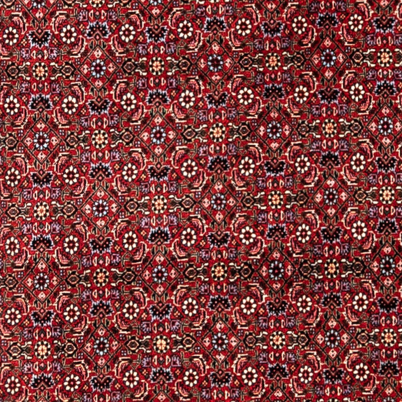 Bidjar - Takab Tapete 331x254cm - Tapete persa